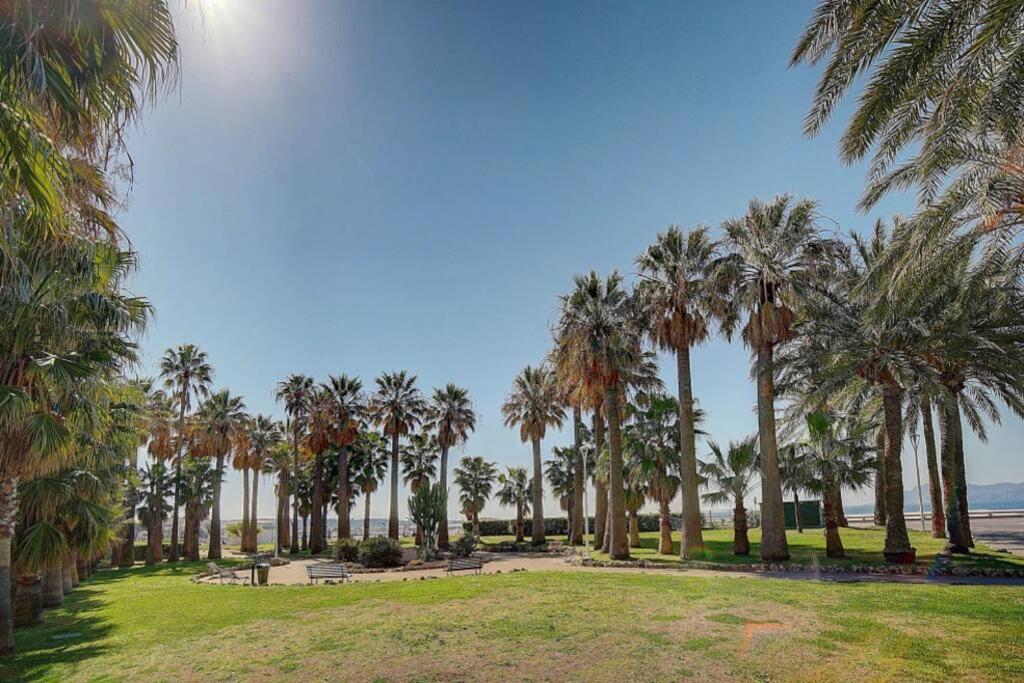 Le Palm - 100M Plage - Croisette - Verriere Cote D'Azur Cannes Exterior photo