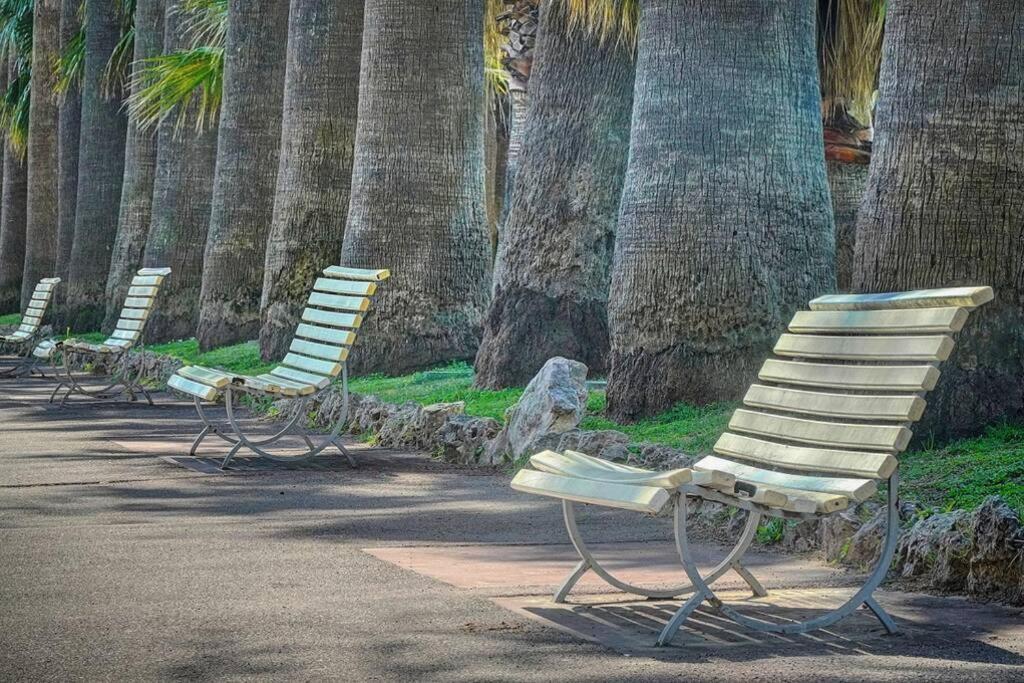 Le Palm - 100M Plage - Croisette - Verriere Cote D'Azur Cannes Exterior photo